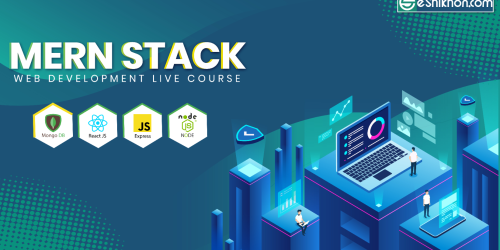 MERN Stack Web Development Course