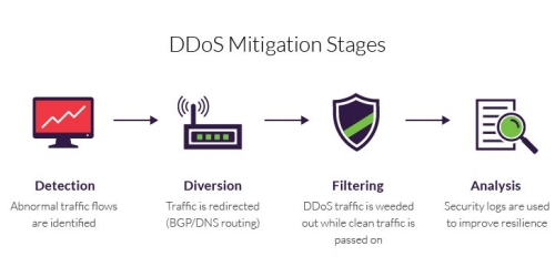 DDoS Protection & Mitigation