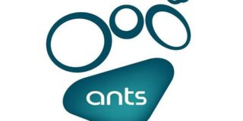Ants Shop