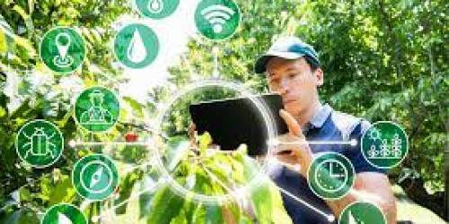 Sensometer Smart Agriculture